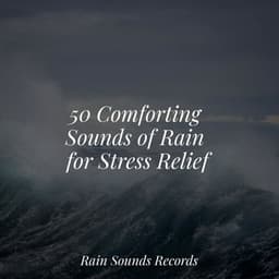 50 Comforting Sounds of Rain for Stress Relief - Forest Sounds
