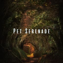 Pet Serenade: Stress-Free Vibes with Binaural and Nature Sounds - Music of the Forest