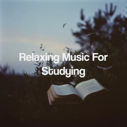 Relaxing Music For Studying - Relaxing Spa Music