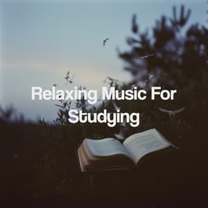 Relaxing Music For Studying - Relaxing Spa Music