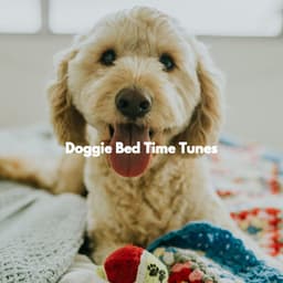 Doggie Bed Time Tunes - Happy Music for Retail Stores