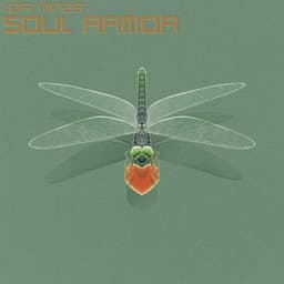 Soul Armor - Lofi Minds