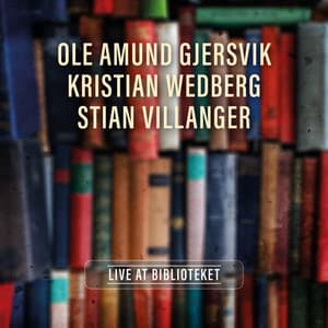 Live At Biblioteket - Ole Amund Gjersvik