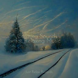 Calming Sounds for Relaxing Music - Soothing Sounds
