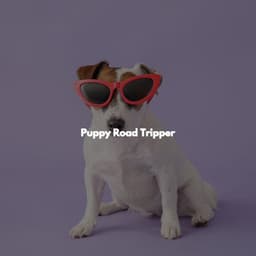Puppy Road Tripper - Good Morning Jazz Cafe