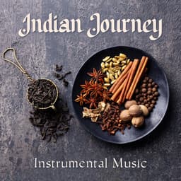 Indian Journey: Instrumental Music for Indian Restaurant and Tea House, Oriental Atmosphere - Background Music Specialists