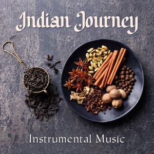 Indian Journey: Instrumental Music for Indian Restaurant and Tea House, Oriental Atmosphere - Background Music Specialists