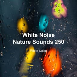 White Noise 250 - White Noise
