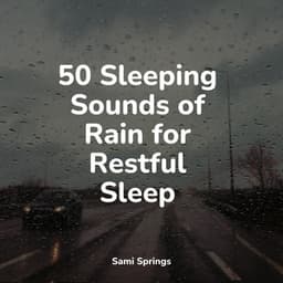 50 Deep Sleep Aid Rain Tracks - PowerThoughts Meditation Club