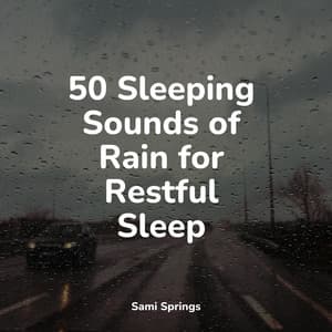 50 Deep Sleep Aid Rain Tracks - PowerThoughts Meditation Club