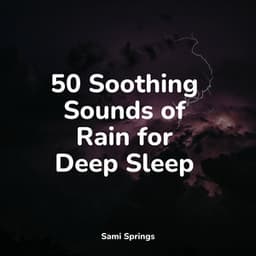 50 Soothing Sounds of Rain for Deep Sleep - Ambient Rain