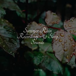 Summer Rain Recordings - 50 Sleep Sounds - Ambient Arena