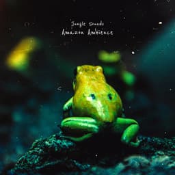 Amazon Ambience - Jungle Sounds