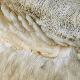 365 Complete Works 22 - Aidan O'Rourke