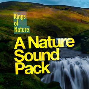A Nature Sound Pack - Kings of Nature