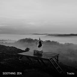 Resonance - Pale Ember