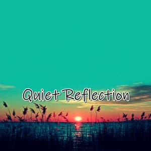 Calm Waters - DiDi One Beats