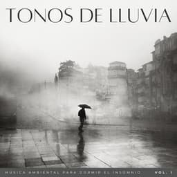 Tonos De Lluvia: Música Ambiental Para Dormir El Insomnio Vol. 1 - Lluvia tranquila para dormir