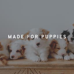Made for Puppies - Relax My Dog Music