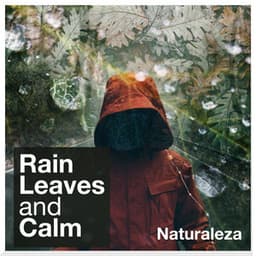 Rain Leaves and Calm - Naturaleza