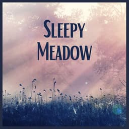 Sleepy Meadow - Sleep Ambience