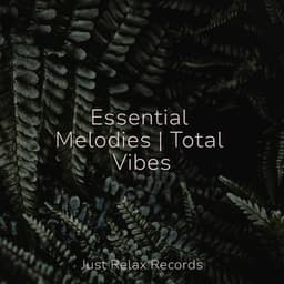 Essential Melodies | Total Vibes - Chakra Balancing Sound Therapy