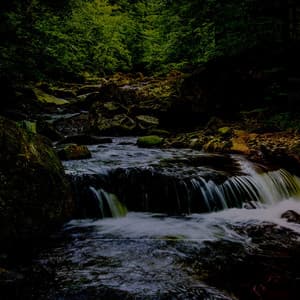 Ebb and Flow: The River Sessions - Calming Wave