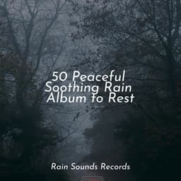 50 Peaceful Soothing Rain Album to Rest - Musica de Relajación Academy