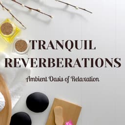 Tranquil Reverberations: Ambient Oasis of Relaxation - Calm Vibes