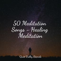 50 Meditation Songs - Healing Meditation - Yoga Trainer