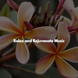 Relax and Rejuvenate Music - Spa Day At Home