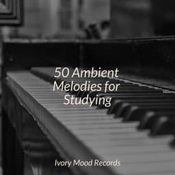50 Ambient Melodies for Studying - Música relaxante
