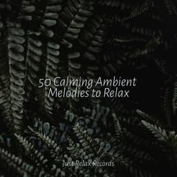 50 Calming Ambient Melodies to Relax - Música Para Meditar y Relajarse