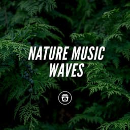 Nature Music Waves - Hypnosis Therapy