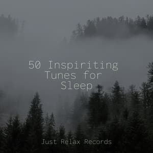 50 Inspiriting Tunes for Sleep - Zen Music Garden