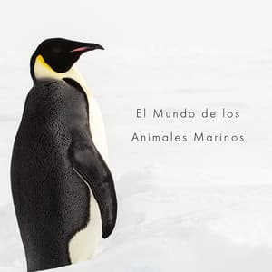 El Mundo de los Animales Marinos - Earl Cooper