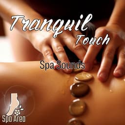 Tranquil Touch: Spa Sounds - Spa Area