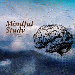 Mindful Study - Focus Flow