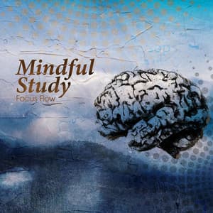 Mindful Study - Focus Flow