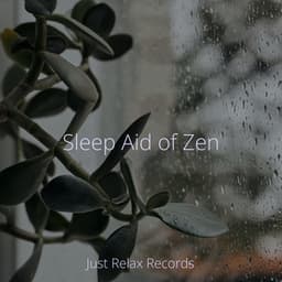 Sleep Aid of Zen - Ambiente