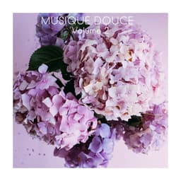Musique Douce, Vol. 2 - Musique Zen Garden