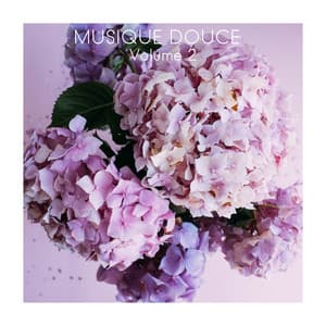 Musique Douce, Vol. 2 - Musique Zen Garden