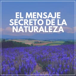 El Mensaje Secreto de la Naturaleza - Sonidos de la Naturaleza para Dormir