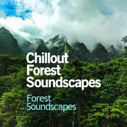Chillout Forest Soundscapes - Forest Soundscapes
