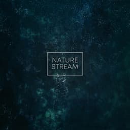 Nature Stream - Rain Sounds & Nature Sounds