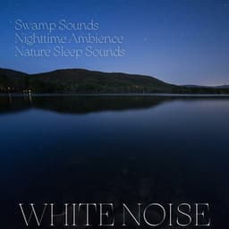 Swamp Sounds, Nighttime Ambience, Nature Sleep Sounds, White Noise, Loopable - Noise Colours