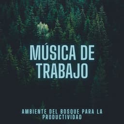 Música de Trabajo: Ambiente del Bosque para la Productividad - Sonidos de la selva tropical