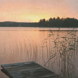 Silent Classical Comforts - Johann Sebastian Bach