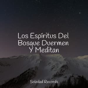 Los Espíritus Del Bosque Duermen Y Meditan - Lluvia