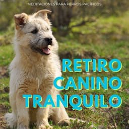 Retiro Canino Tranquilo: Meditaciones Para Perros Pacíficos - Suave por naturaleza